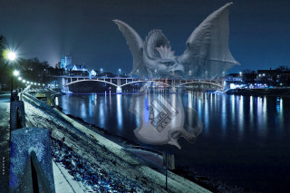 Large bird flying river bridge - a large bird free wallpaper