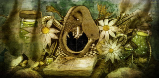 Elephant flowers book mouth painting - storybook illustration free wallpaper