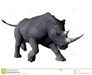 Rhinoceros jumping head down tail - realistic free wallpaper for desktop