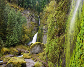 Waterfall bridge forest moss rocks - moss free wallpaper