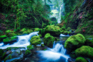 Stream lush forest rocks mossy 4 - the rock free wallpaper
