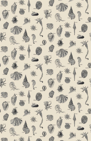 Sea animals pattern white background - lovecraftian free wallpaper for mobile