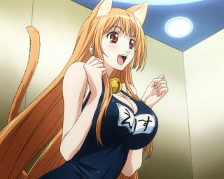 Woman long hair cat ears - long hair and a cat ears free wallpaper