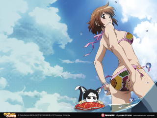 Woman bikini penguin water sky - a penguin free wallpaper