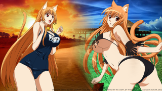 Anime girls swimsuits sunset building - swimsuit free wallpaper