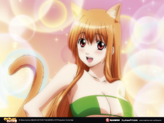 Anime girl long hair cat - long hair and a cat ears free wallpaper