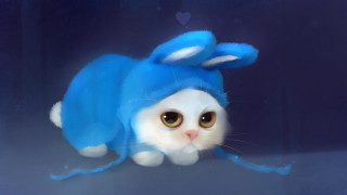 Cat blue hat sad looking - a blue hat free wallpaper for desktop