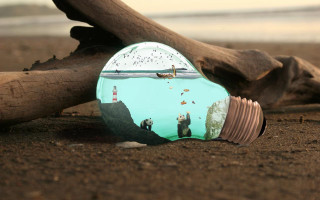 Light bulb beach branch ocean - a sandy beach next free wallpaper