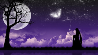 Woman tree butterfly night sky - over her free wallpaper for desktop