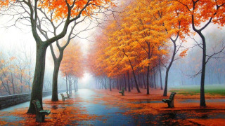 Park benches trees fall colors 2 - an oil painting free wallpaper