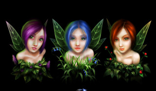 Beautiful women green purple hair - hair free wallpaper