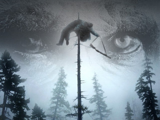 Man stick forest giant eye - a forest free wallpaper