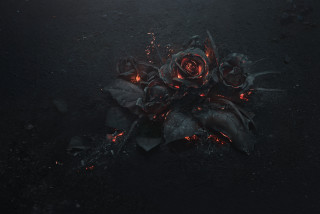 Flowers ground dark night time - dark art free wallpaper for desktop