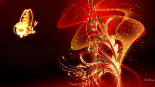 Red yellow fracta butterfly flower - rich color free wallpaper