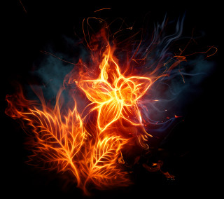 Fire flower glowing dark sky - orange flame free wallpaper