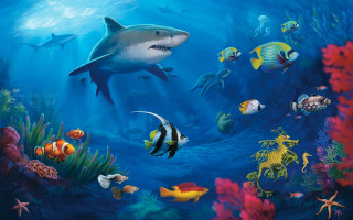 Shark marine life blue ocean - other marine life free wallpaper