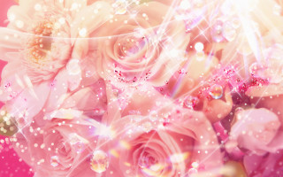 Bouquet bubbles sparkles pink background - a bouquet of flowers free wallpaper for desktop