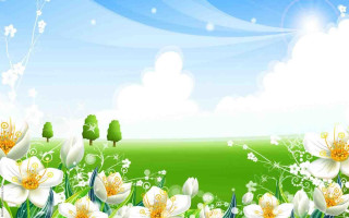 Flower field white flowers green - green grass free wallpaper for desktop