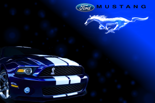 Mustang car logo front side - the front free wallpaper