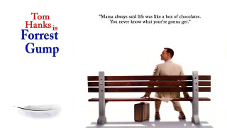 Forrest gump military portrait feather - a feather free wallpaper