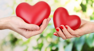 Two hands holding red heart 2 - evariste vital luminai free wallpaper