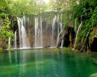 Waterfall pool forest surrounding body - the middle of it free wallpaper