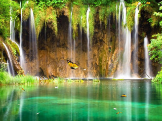 Waterfall butterfly lake green water - a lake below free wallpaper for desktop