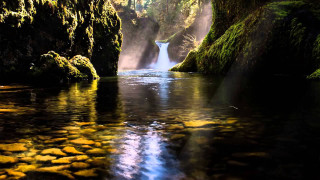 River flowing lush forest rocks - a lush green forest free wallpaper