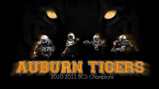 Auburn tigers football players champs - a tiger free wallpaper