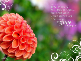 Flower quote anne rigney rococo - a flower free wallpaper for desktop
