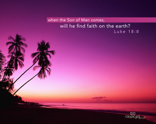 Sunset palm trees bible verse - a sunset free wallpaper for desktop