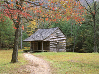 Log cabin woods dirt path - a dirt path free wallpaper