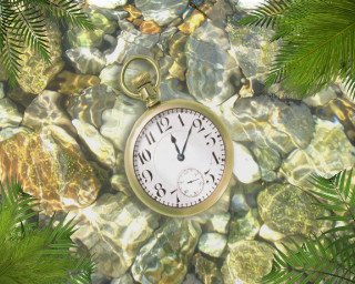Clock rock forest green leaves - a clock free wallpaper