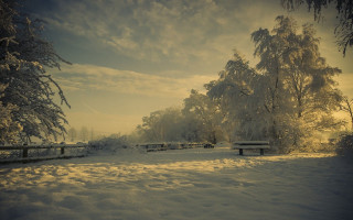 Snowy park benches trees sunbeam - a.b. frost free wallpaper