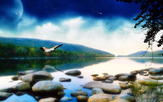 Bird flying lake rocks trees - rock and trees free wallpaper