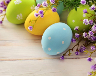 Colorful eggs table flowers plant - purple flower free wallpaper for desktop