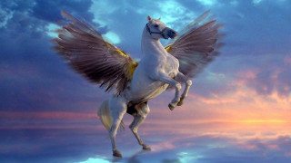 White horse winged flying sunset - a white horse free wallpaper