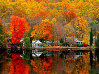 Lake autumn trees reflection houses - a reflection free wallpaper