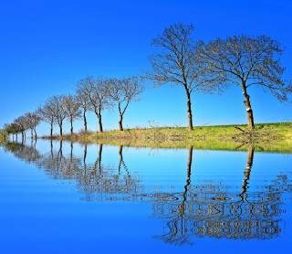 Trees hill water blue sky - grassy free wallpaper for desktop