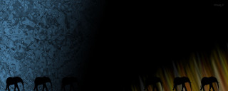 Elephants darkroom bluewall yellowblack lycoart - a group of elephants free wallpaper