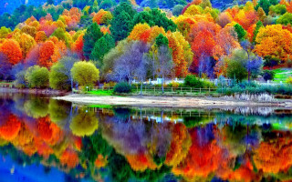 Lake trees colorful leaves hillside - beautiful scenery free wallpaper