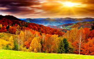 Beautiful mountain sunset colorful trees - a grassy field in the foreground free wallpaper