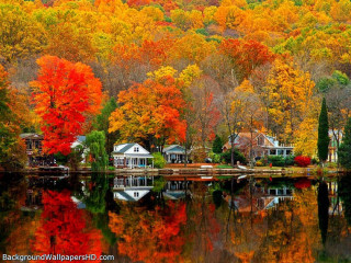Autumn lake trees houses fiery - bob ross free wallpaper