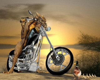 Motorcycle dragon duck sunset desert - a duck free wallpaper
