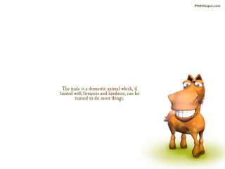Cartoon horse funny face quote - desmond morris free wallpaper