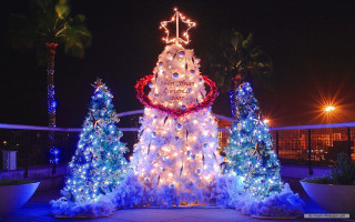 Christmas tree lights decorations night - free christmas wallpaper