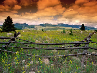 Wooden fence field mountains clouds 2 - a field of wildflowers free wallpaper