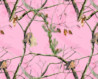 Pink tree branch leaves foliage - a pink background behind free wallpaper