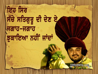 Man turban holding green plant - computer graphic free wallpaper