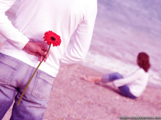 Man holding flower woman beach 2 - romantic free wallpaper